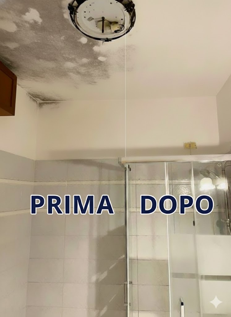 Trattamenti anti muffa Reggio Emilia e Nord Italia - Reggiana Tinteggi